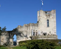 Kunstruine Frankenstein